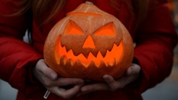 Хэллоуин с ножом в руке: резьба по тыкве как развлечение и бизнес в США 