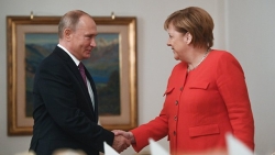В Германии рассказали, какие темы обсудили Путин и Меркель 