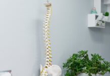 Заболевания позвоночника: самые распространенные патологии и их симптомы